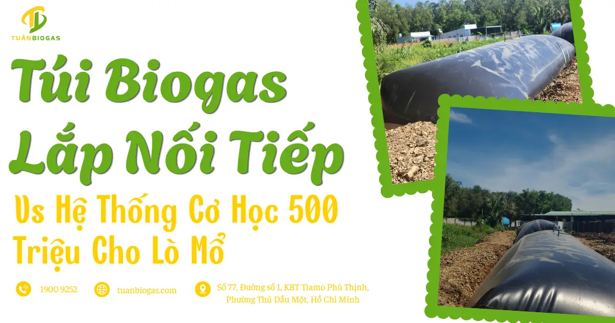 Túi Biogas Lắp Nối Tiếp Hay Hệ Thống Cơ Học 500 Triệu: Đâu Là Lời Giải Cho Lò Mổ & Trang Trại?